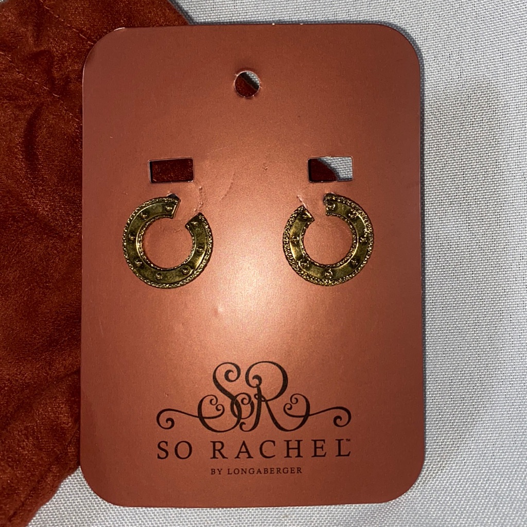 Longaberger So Rachel Chain Link Earrings